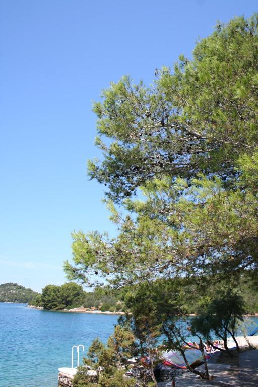 Hotel Luka Luka  Екстер'єр фото